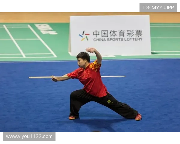 体育大联赛武术秀（全国体育院校武术锦标赛）sports